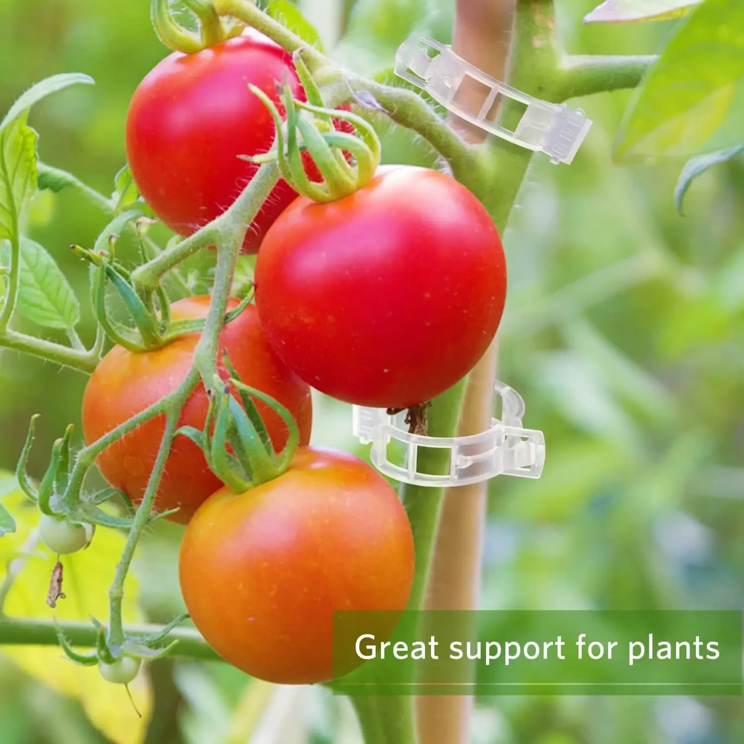 Многоразовые пластиковые зажим – обзор и цена Smart Garden Kit