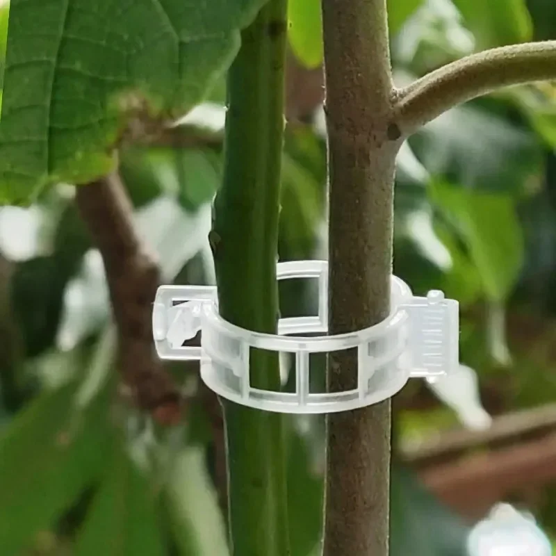 Многоразовые пластиковые зажим – обзор и цена Smart Garden Kit