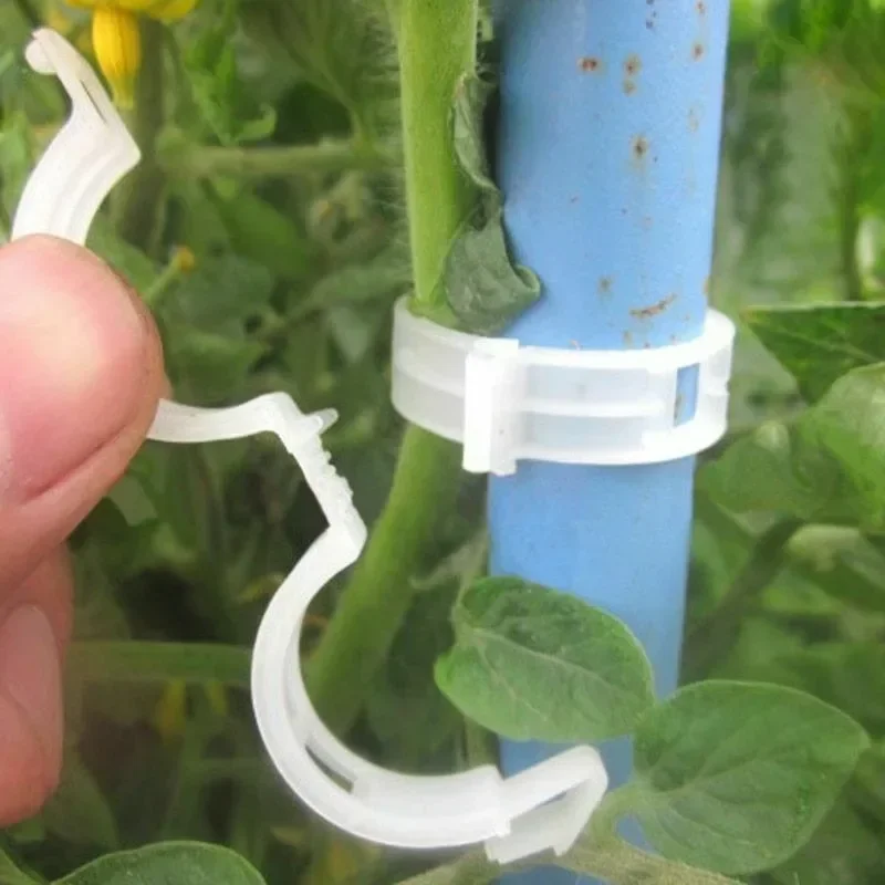 Многоразовые пластиковые зажим – обзор и цена Smart Garden Kit
