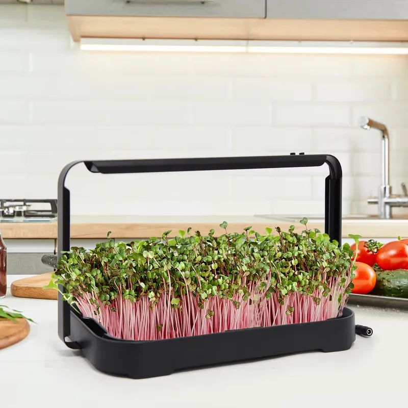 Гидропонный лоток для выращива – обзор и цена Smart Garden Kit
